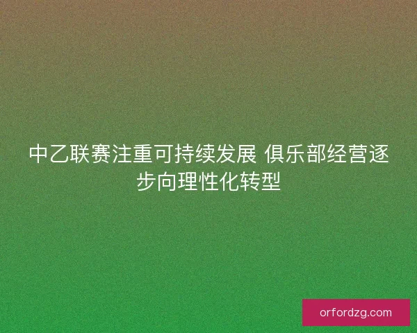 中乙联赛注重可持续发展 俱乐部经营逐步向理性化转型