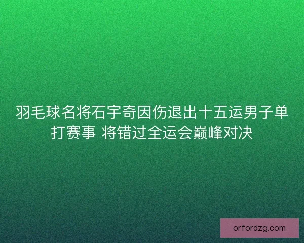 羽毛球名将石宇奇因伤退出十五运男子单打赛事 将错过全运会巅峰对决