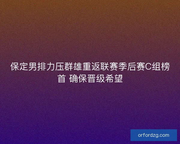 保定男排力压群雄重返联赛季后赛C组榜首 确保晋级希望 保定男排力压群雄重返联赛季后赛C组榜首 确保晋级希望